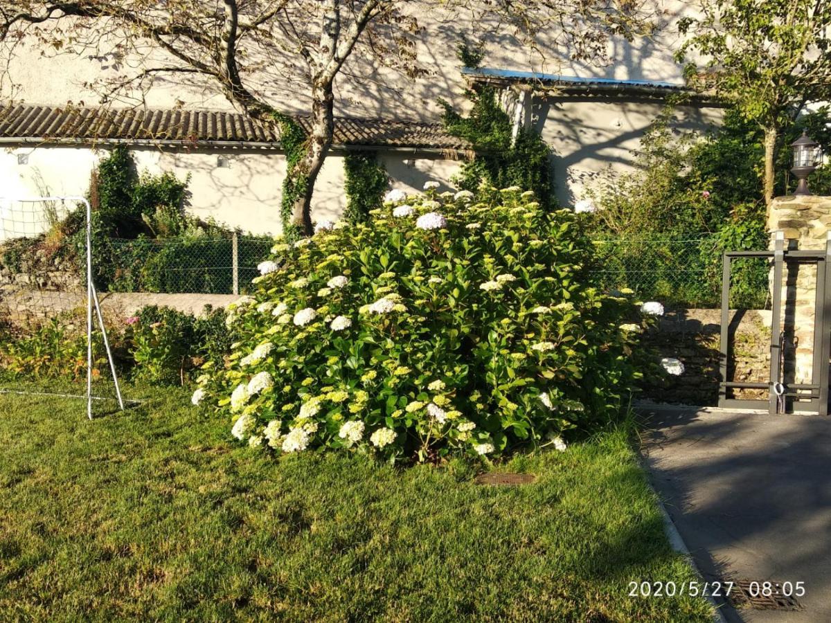 Casa Hortensia Salas  Dış mekan fotoğraf